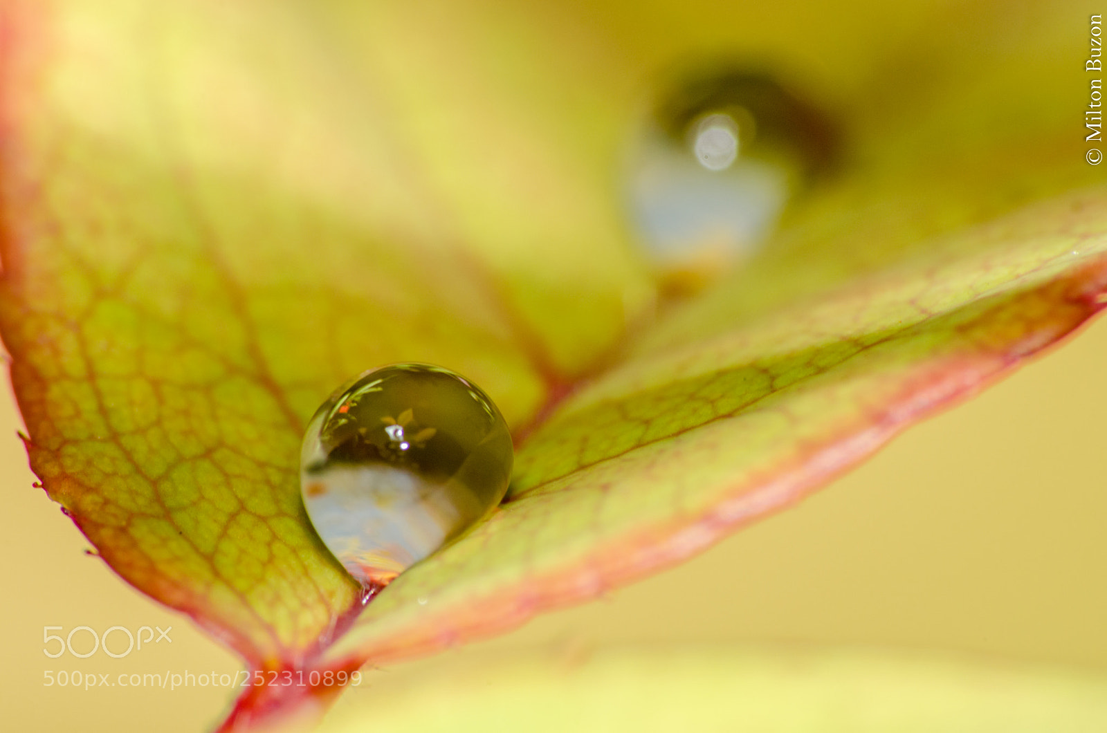 Nikon D7000 sample photo. Beauties of the planet photography