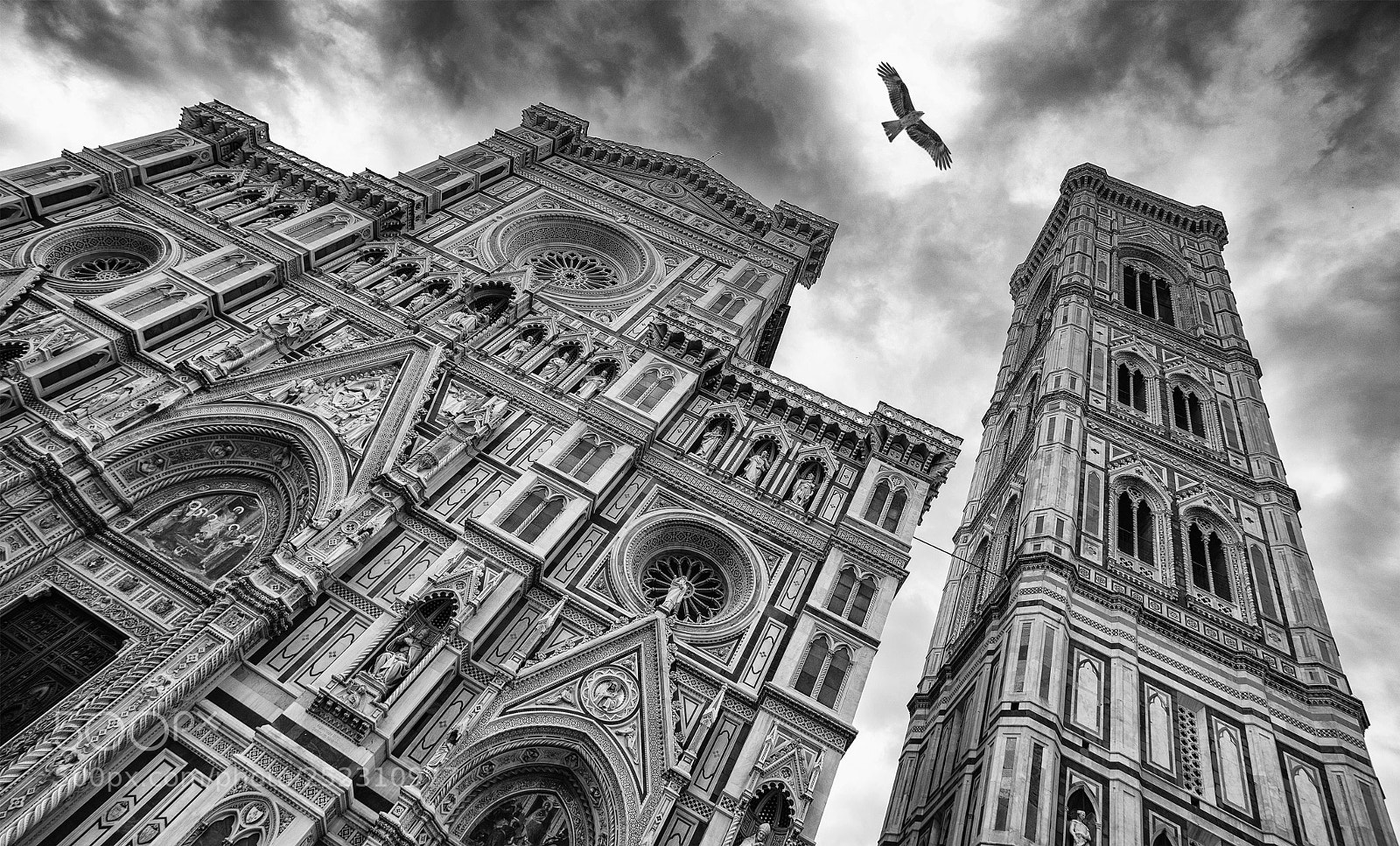 Sony a7R II sample photo. Viewpoint synchronised photography