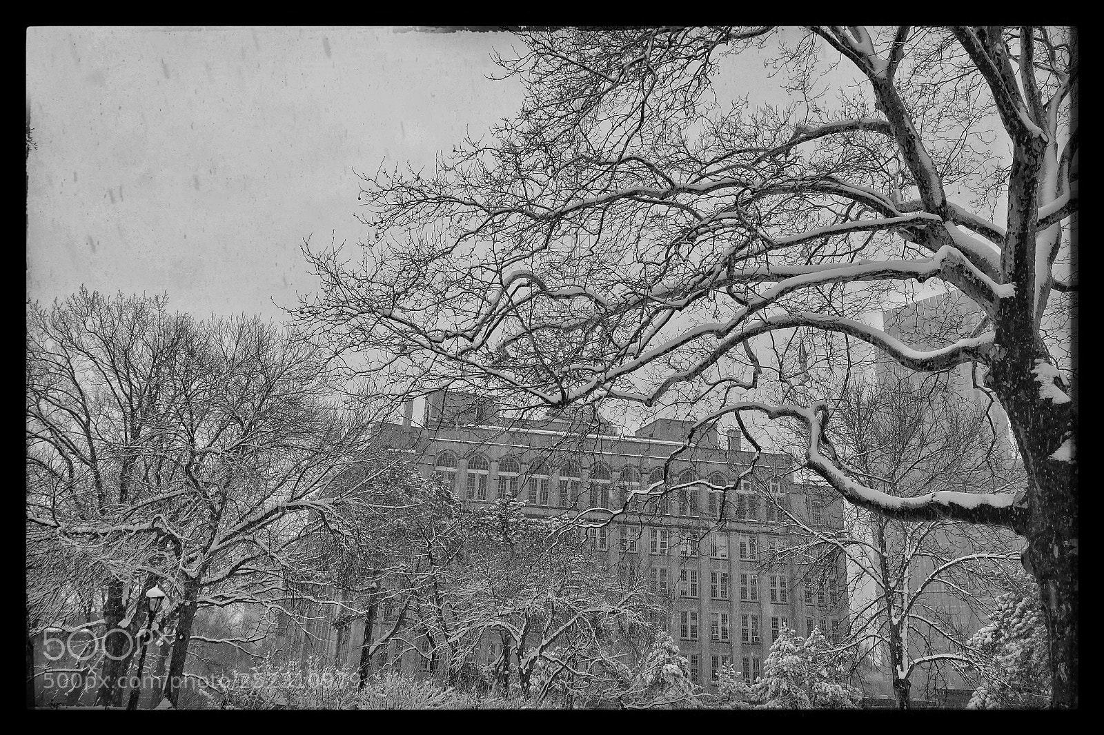 Samsung NX300 sample photo. Snow photography