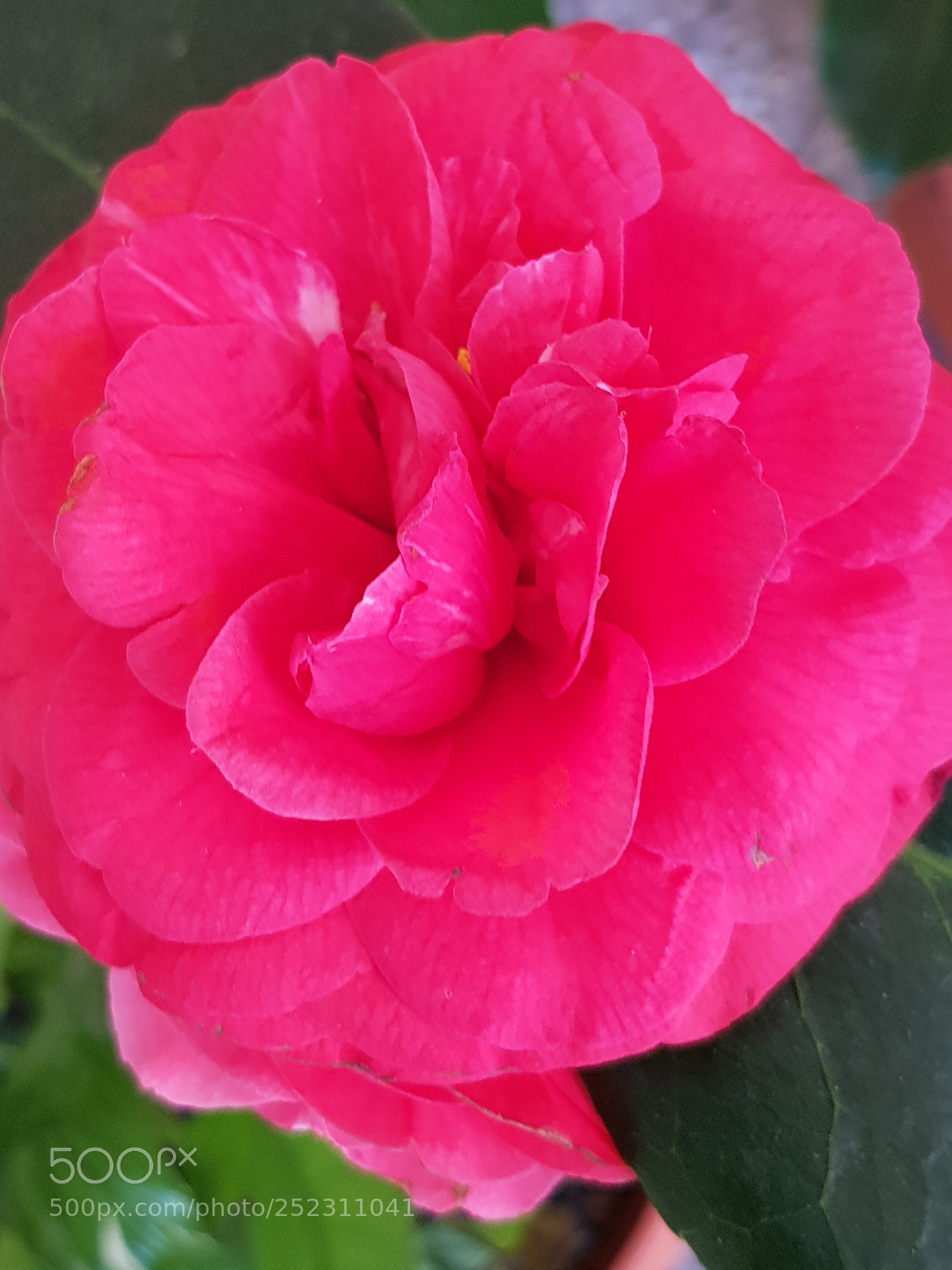 Samsung Galaxy S8 sample photo. Untitled photography