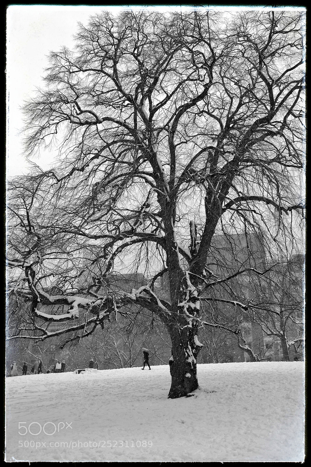 Samsung NX300 sample photo. Snow 2 photography