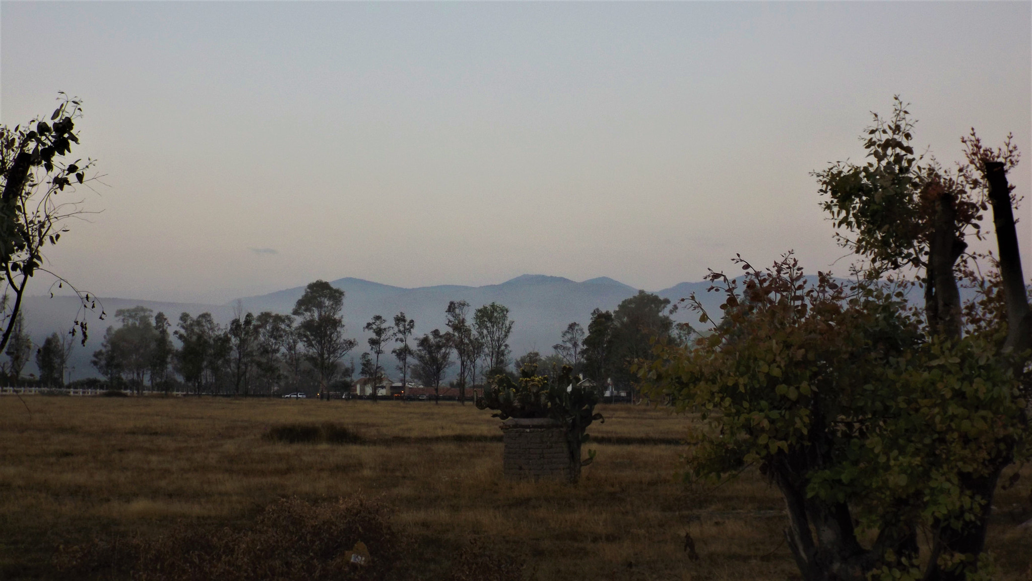 Fujifilm FinePix S4800 sample photo. Trees and mountains photography