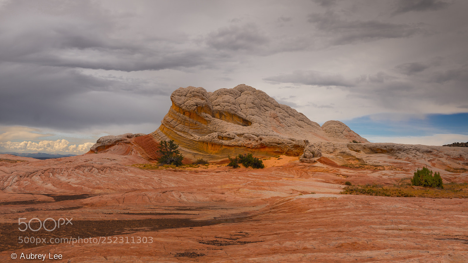 Nikon D610 sample photo. Swept away photography