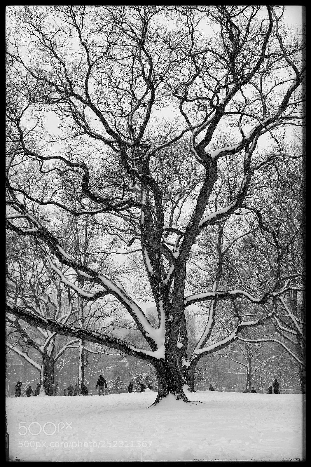 Samsung NX300 sample photo. Snow 5 photography