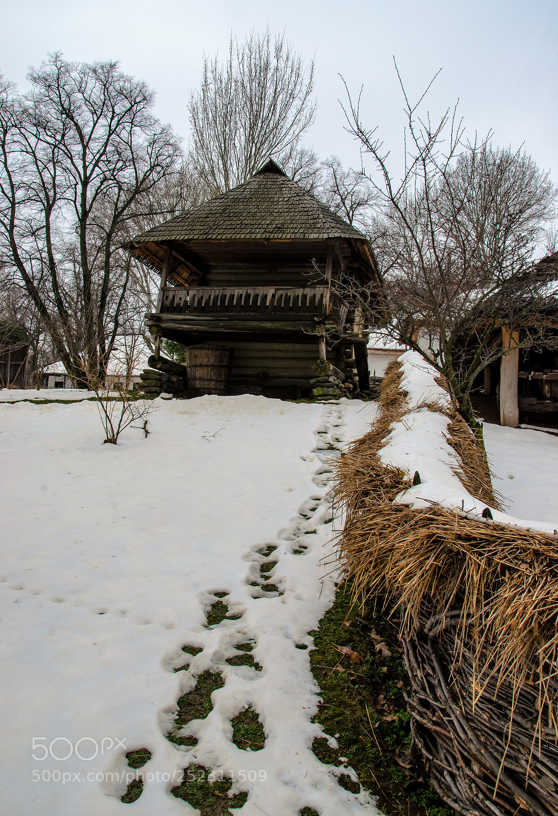 Nikon D7000 sample photo. Snow time photography