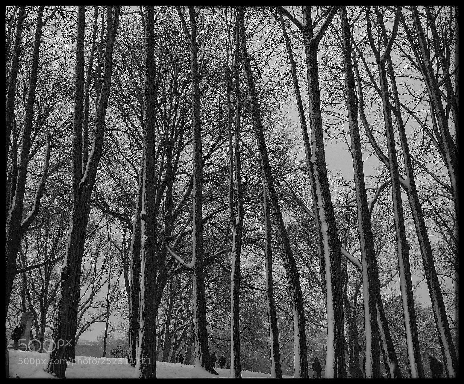 Samsung NX300 sample photo. Winter scape 2 photography