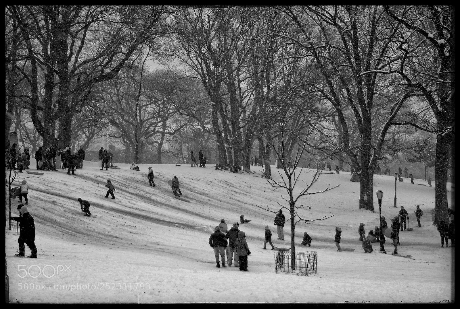 Samsung NX300 sample photo. Winter fun photography