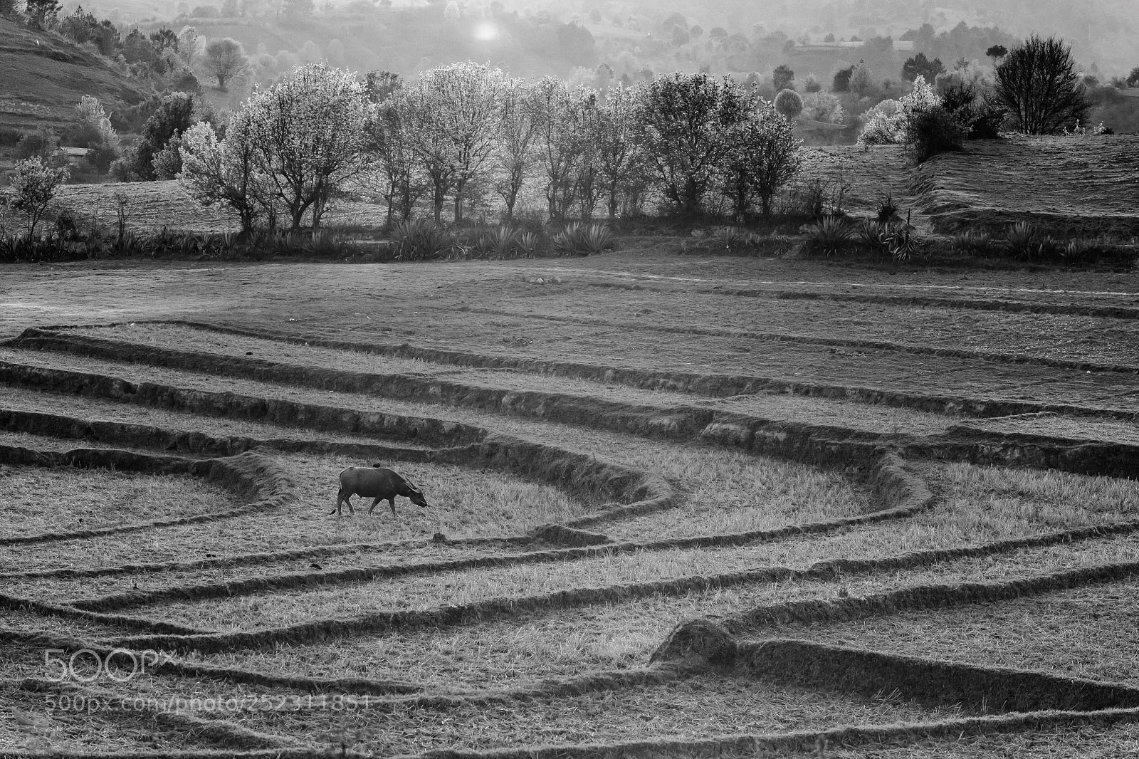 Nikon D850 sample photo. Landscape of myanmar photography