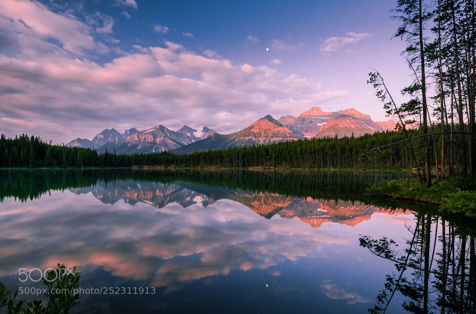Nikon D800 sample photo. Morning at herbert lake photography