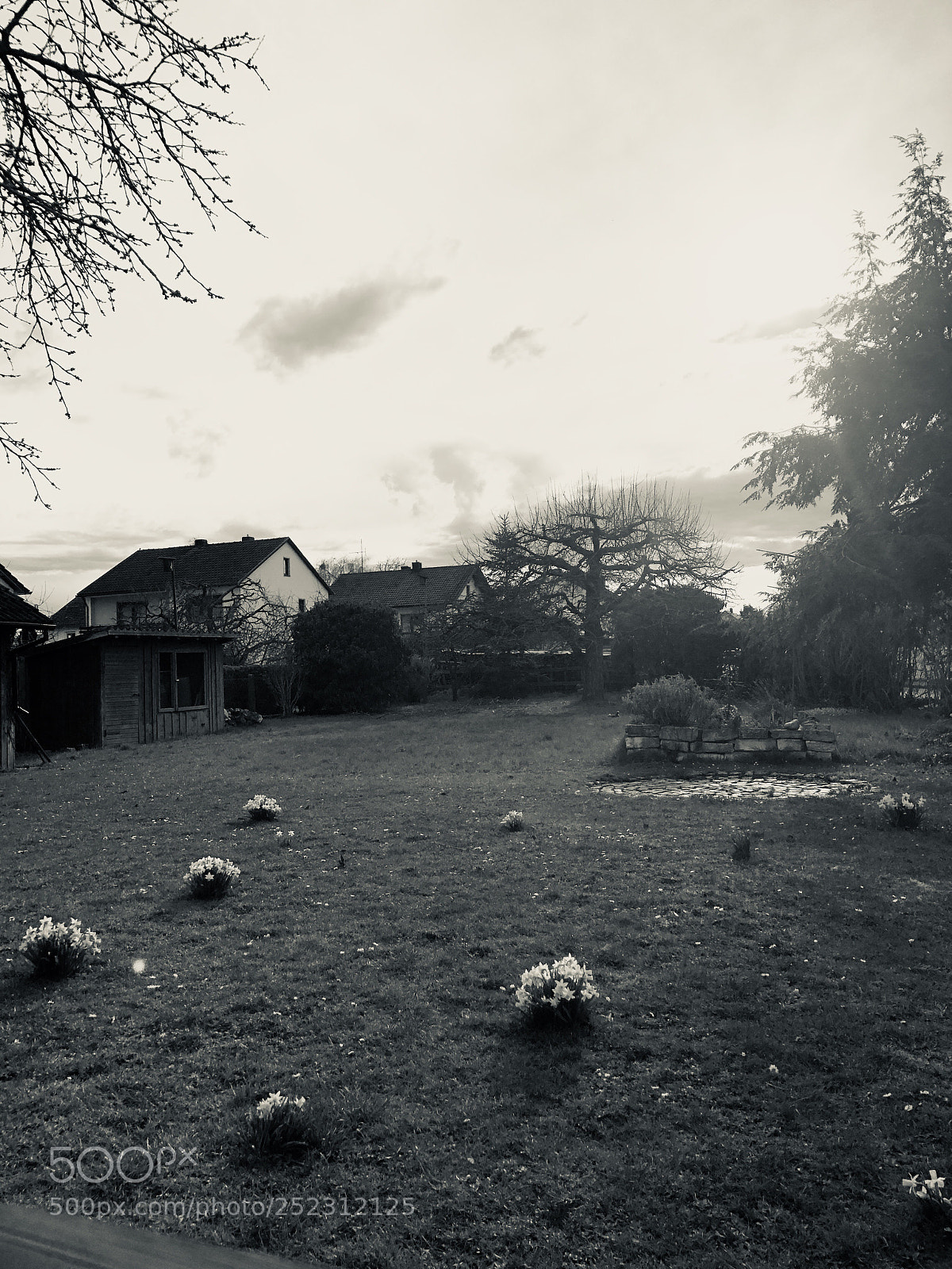 Apple iPhone X sample photo. Untitled photography