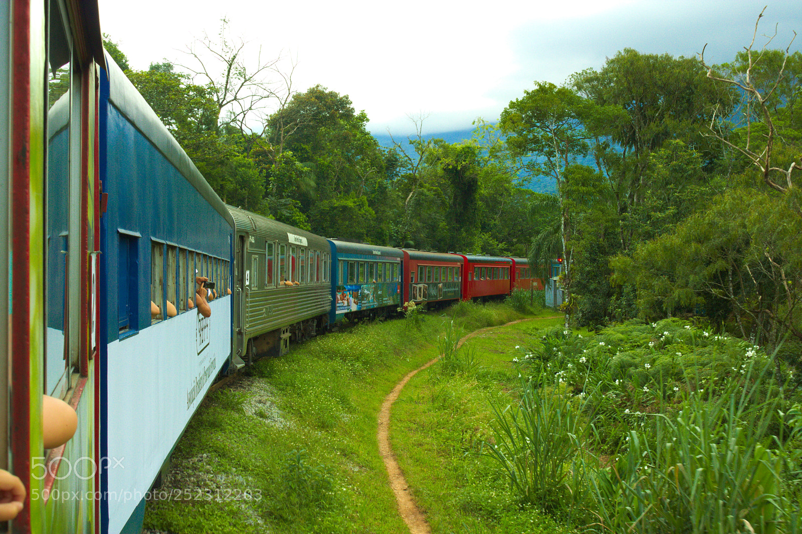 Canon EOS 750D (EOS Rebel T6i / EOS Kiss X8i) sample photo. Trem morretes-curitiba photography