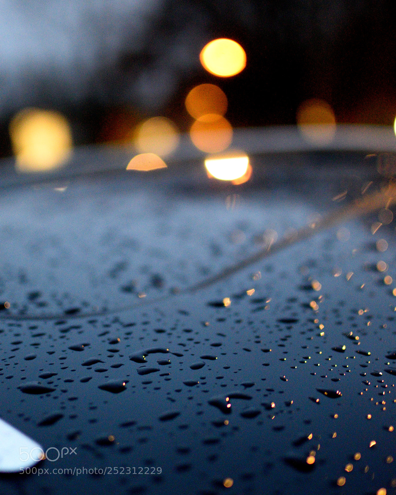 Nikon D3200 sample photo. Drops on a roof photography