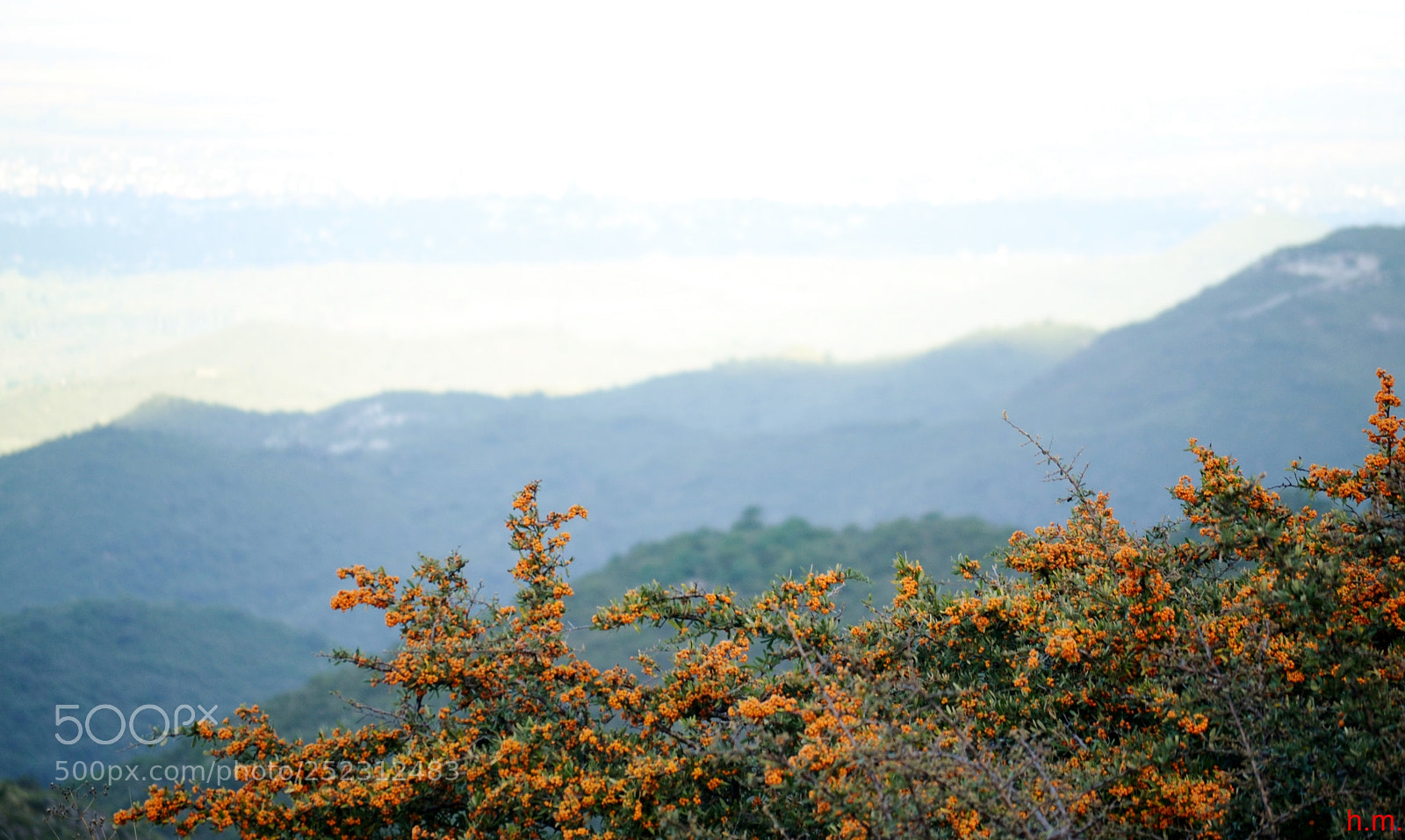 Nikon D3100 sample photo. Aafo photography