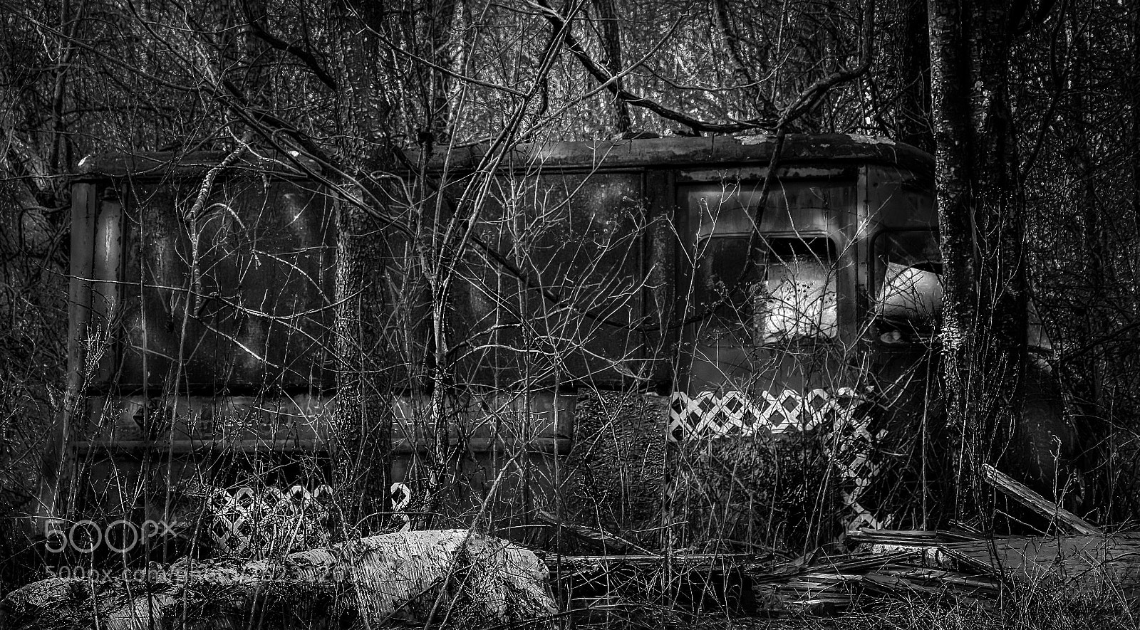 Nikon D7100 sample photo. Offensive to the environment photography