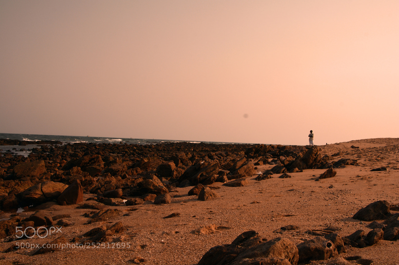 Nikon D5200 sample photo. In peace photography