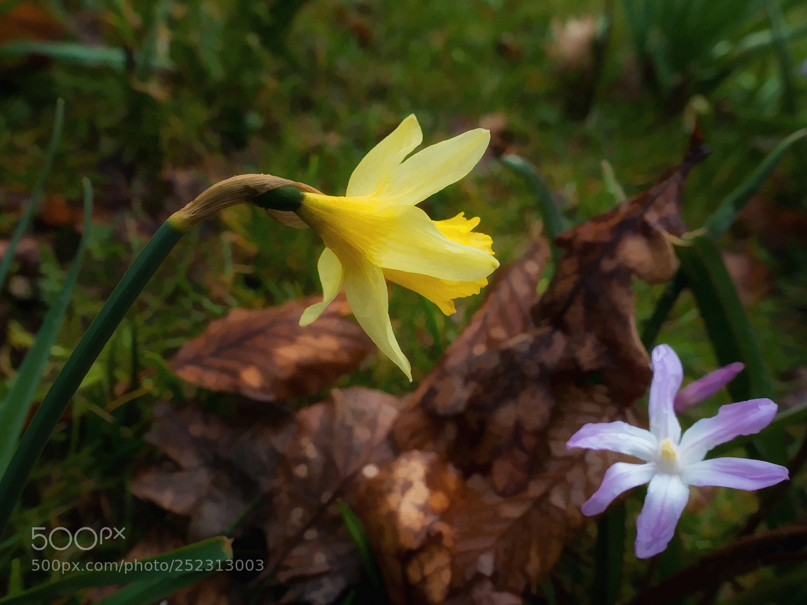 Sony Cyber-shot DSC-RX100 III sample photo. ... plauderstunde ... photography