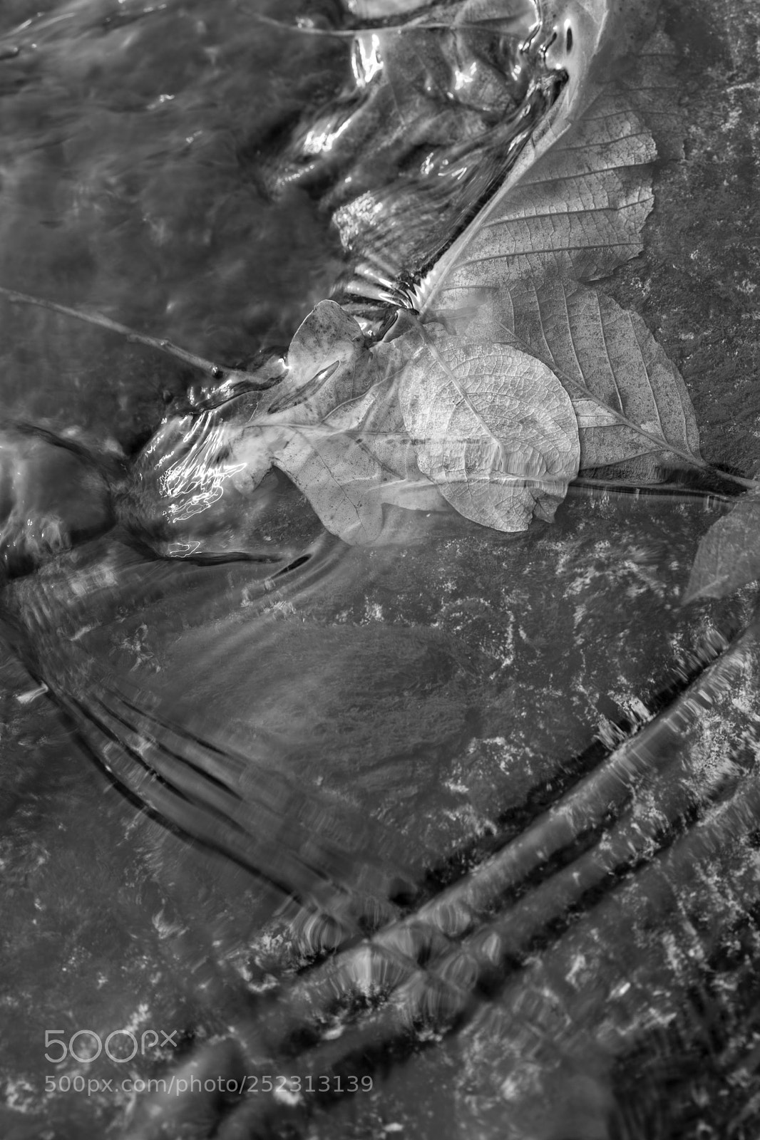 Sony a7 II sample photo. Summer's end photography