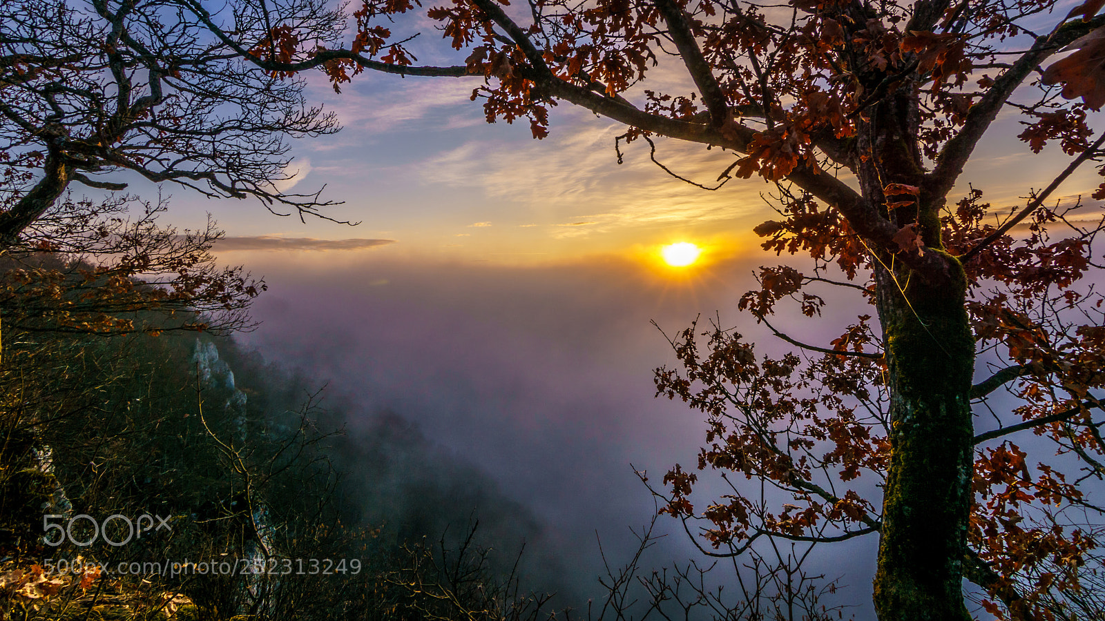 Sony ILCA-77M2 sample photo. Sunrise above the fog photography