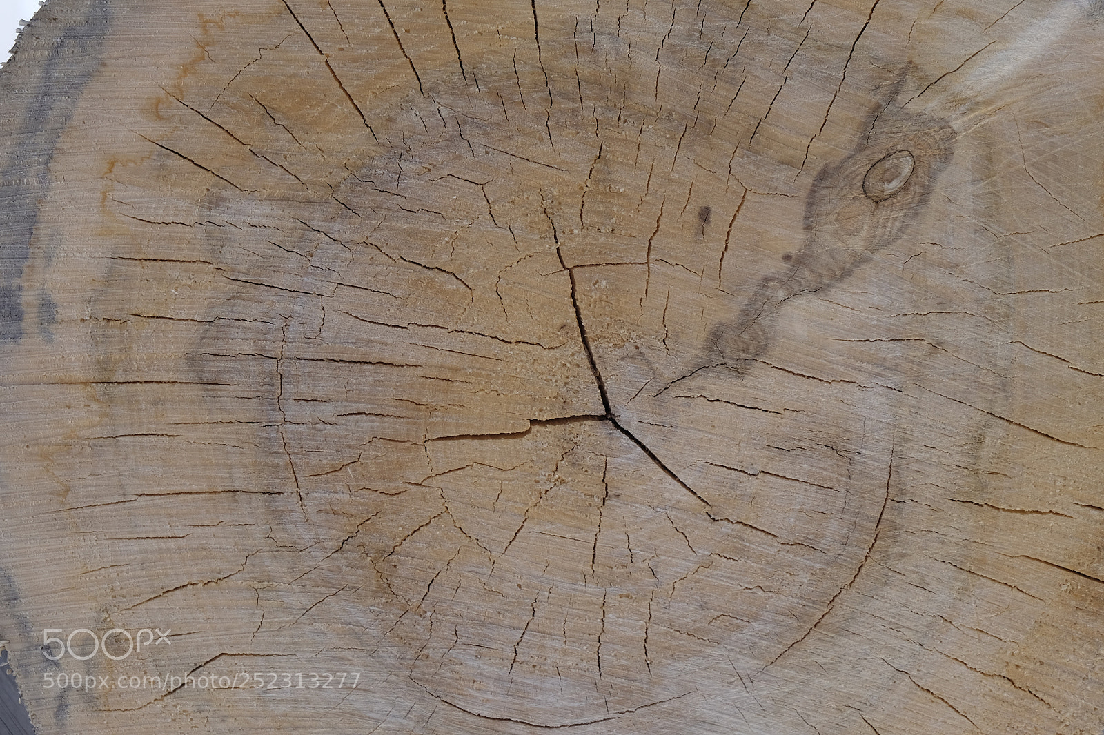 Fujifilm X-T10 sample photo. R3- log jam photography