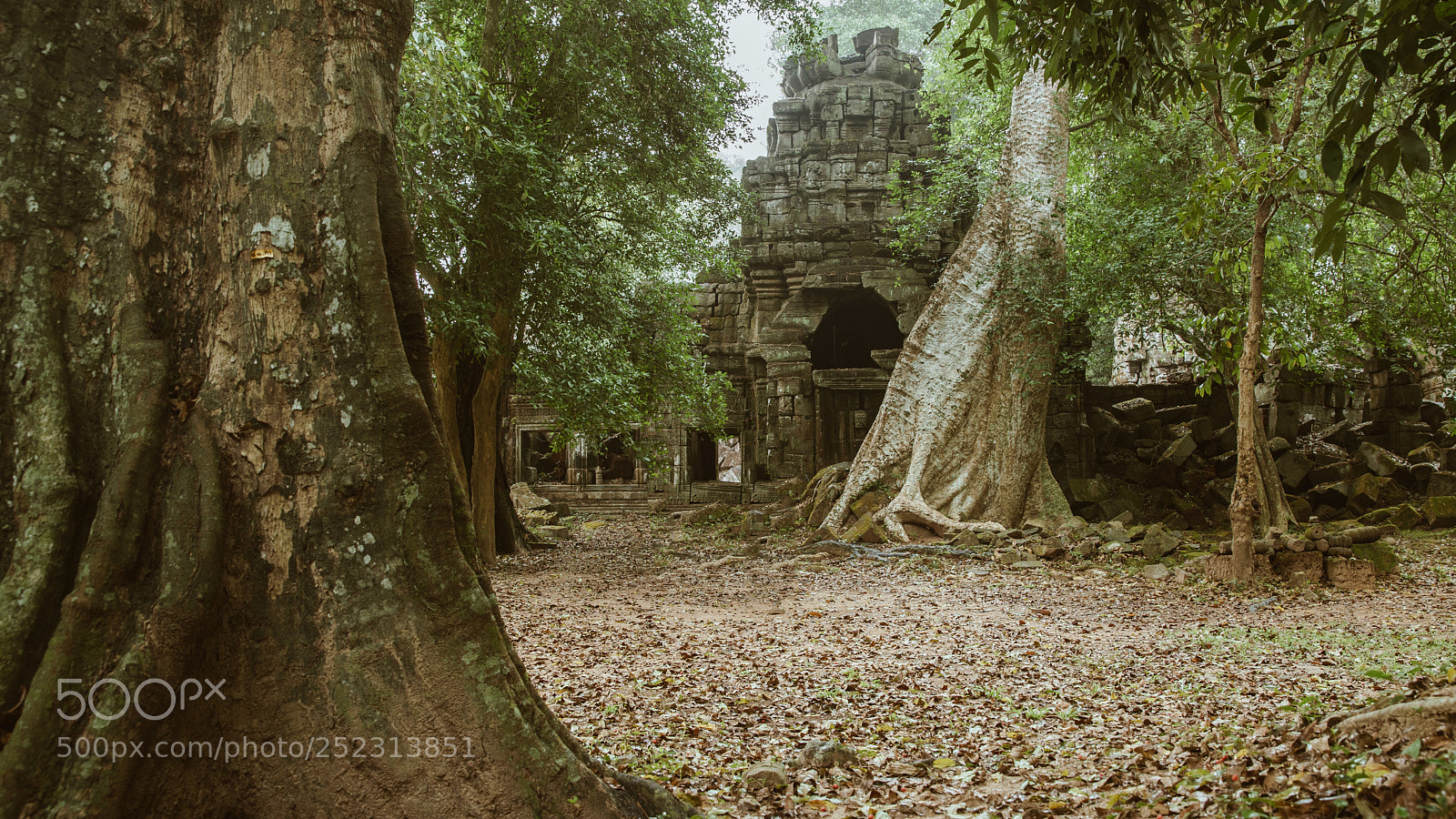 Sony a7 II sample photo. Hidden of preah khan photography