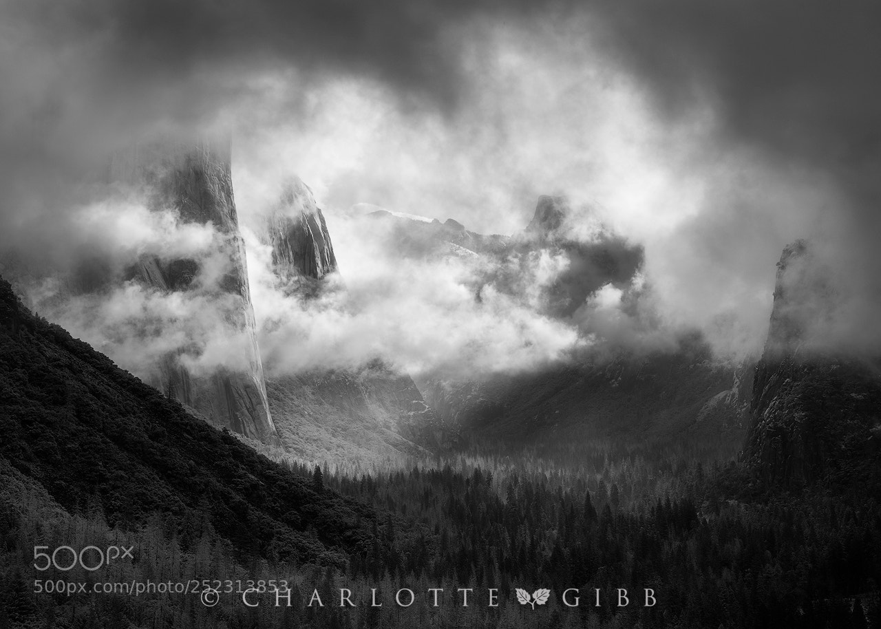Canon EOS 5DS R sample photo. Black yosemite photography