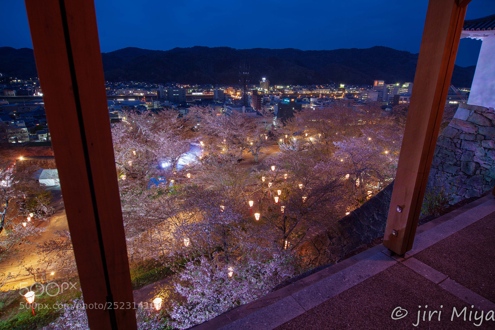 Canon EOS 5D Mark II sample photo. Flower festival at night photography