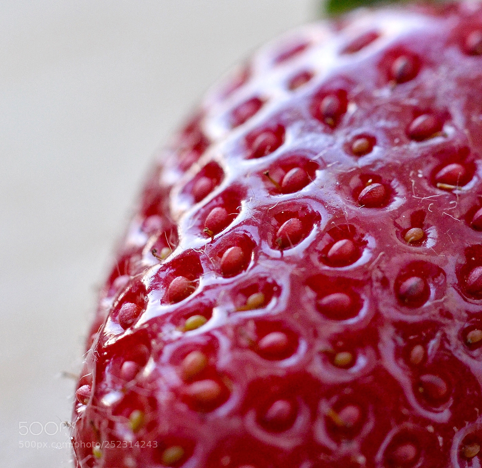 Nikon D3100 sample photo. Macro strawberry photography