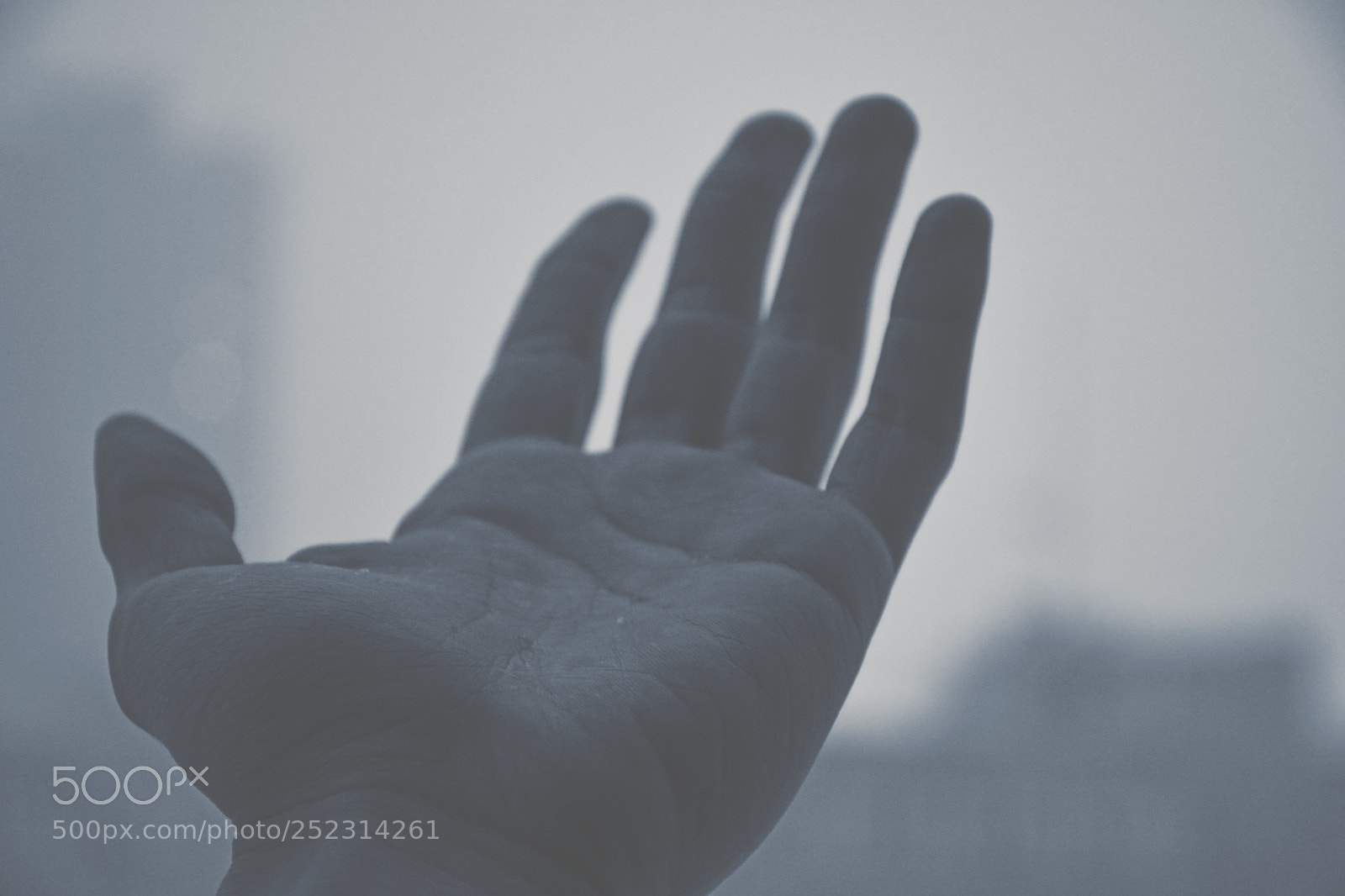 Nikon D7100 sample photo. Hand in snow photography