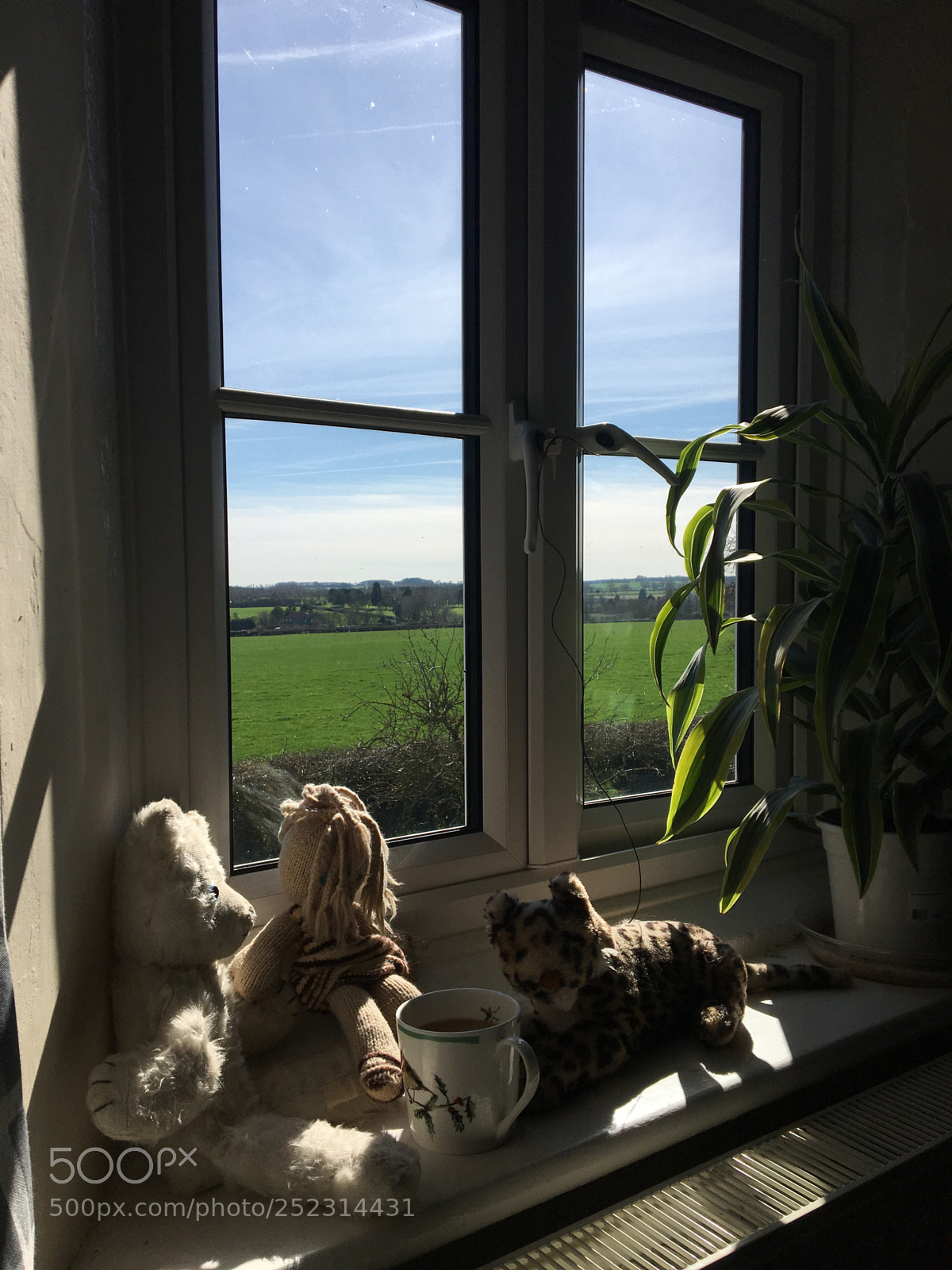 Apple iPhone 6s sample photo. First signs of spring  photography