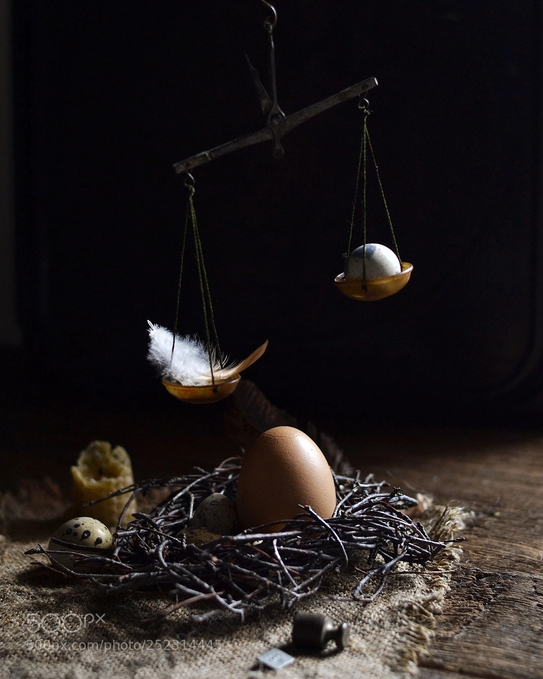 Nikon D3100 sample photo. Dark mood eggs photography