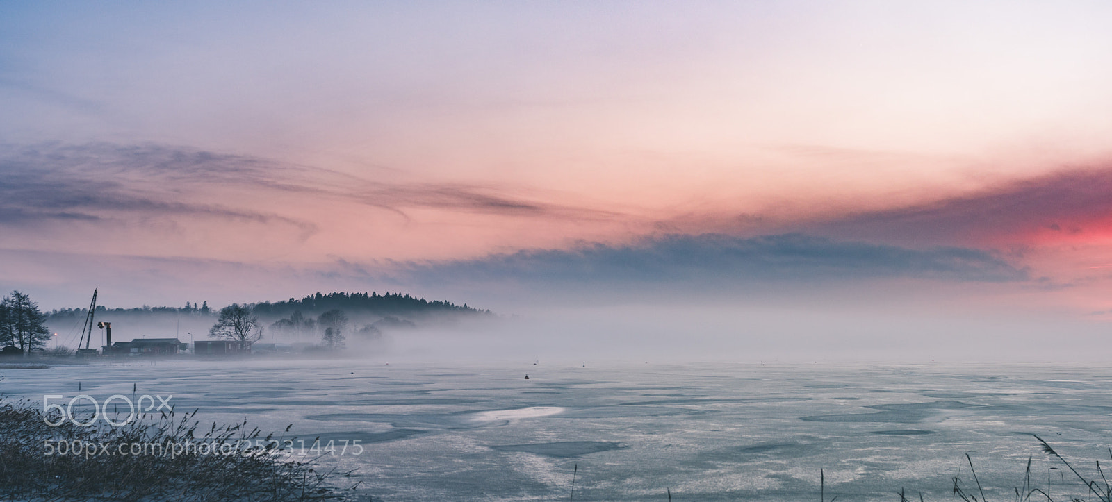 Nikon D500 sample photo. Approaching fog photography