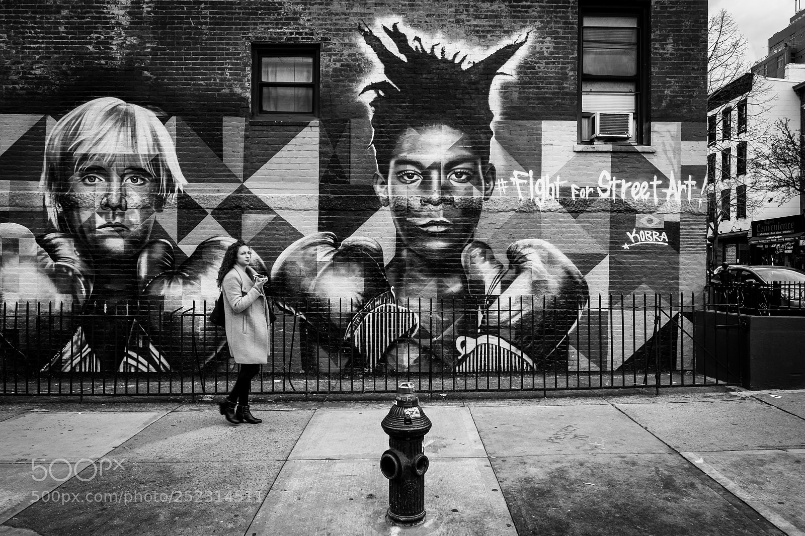 Fujifilm X-T2 sample photo. Kobra's mural in williamsburg photography