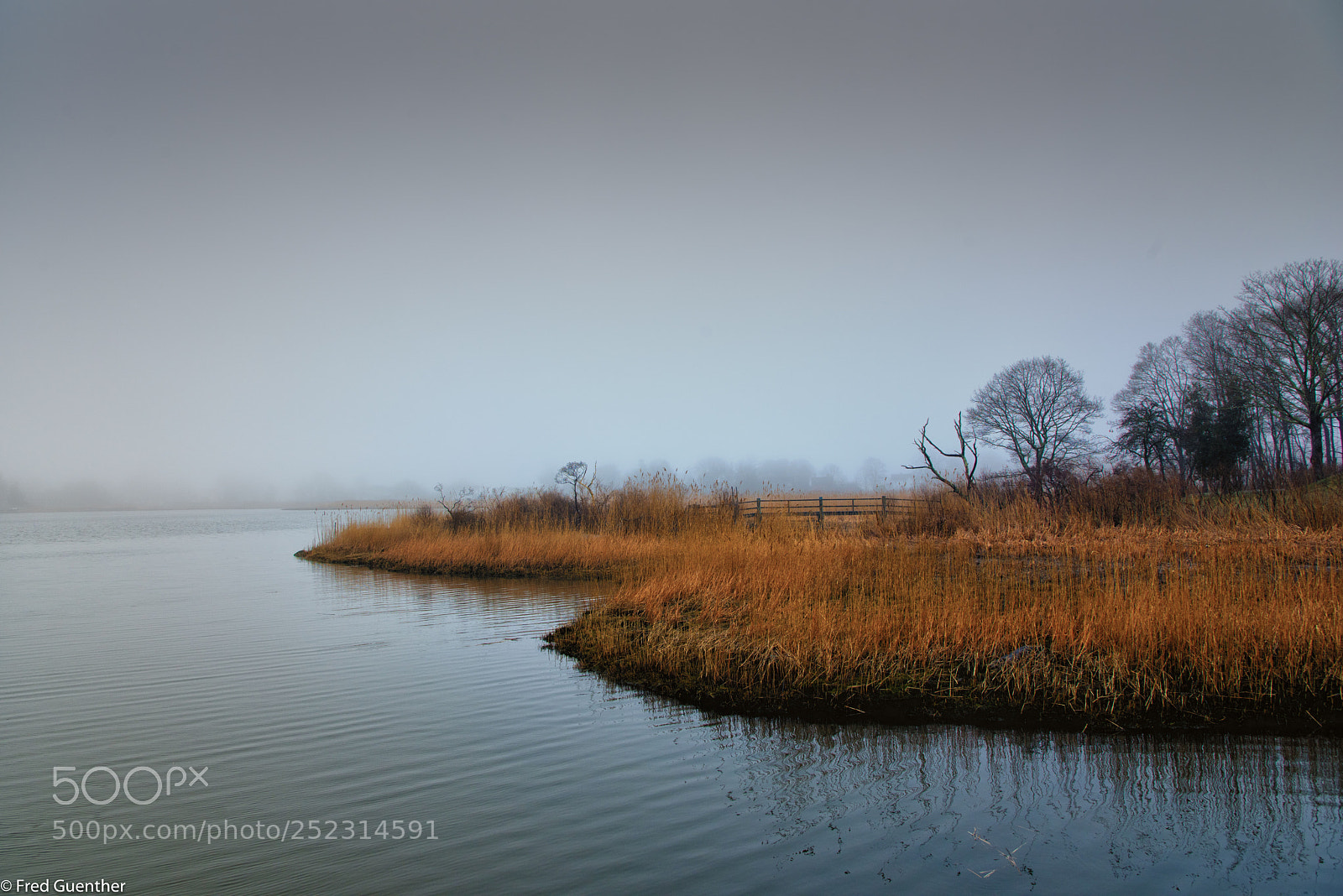 Nikon D810 sample photo. Old saybrook north cove photography