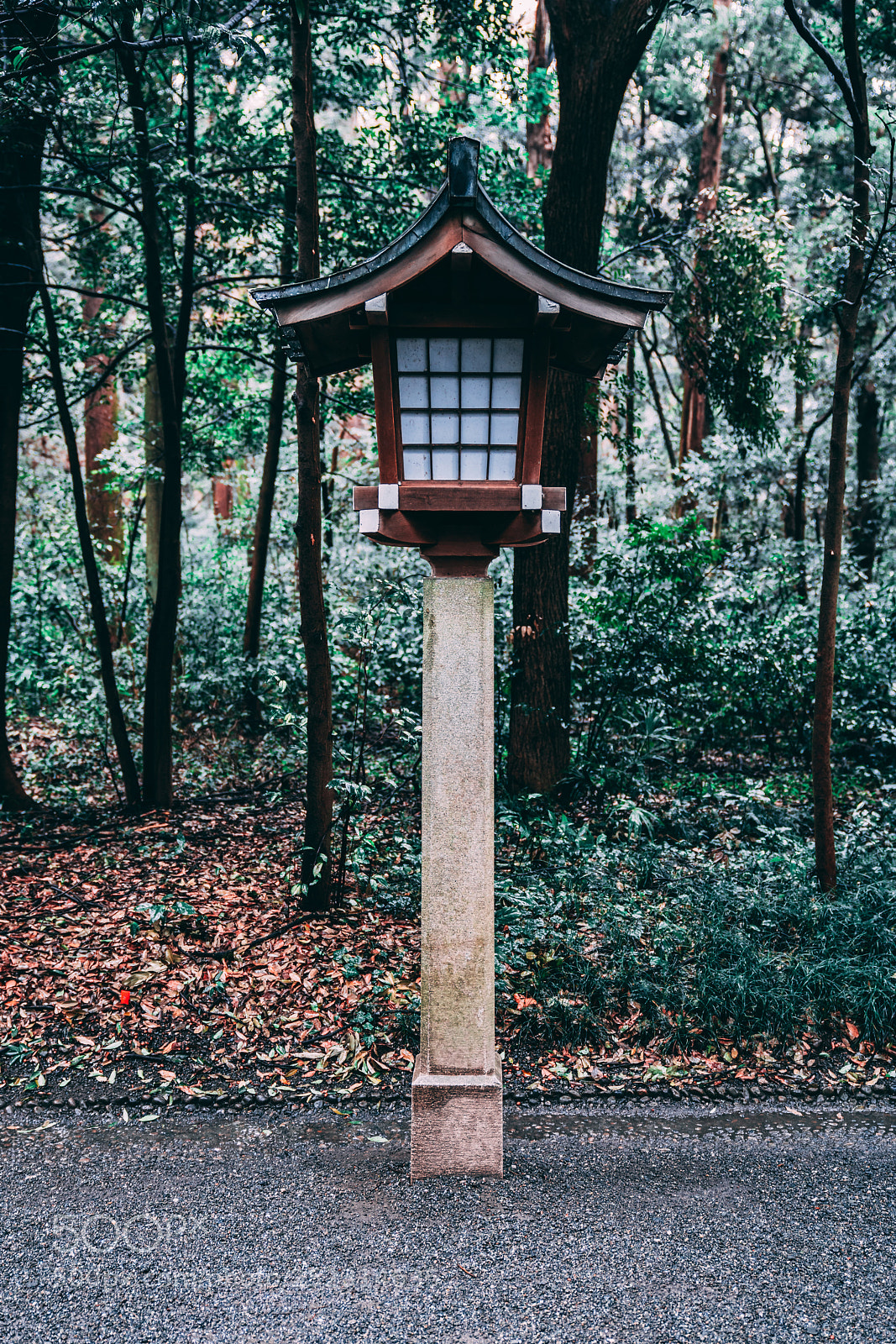 Sony a7R III sample photo. Tōrō photography