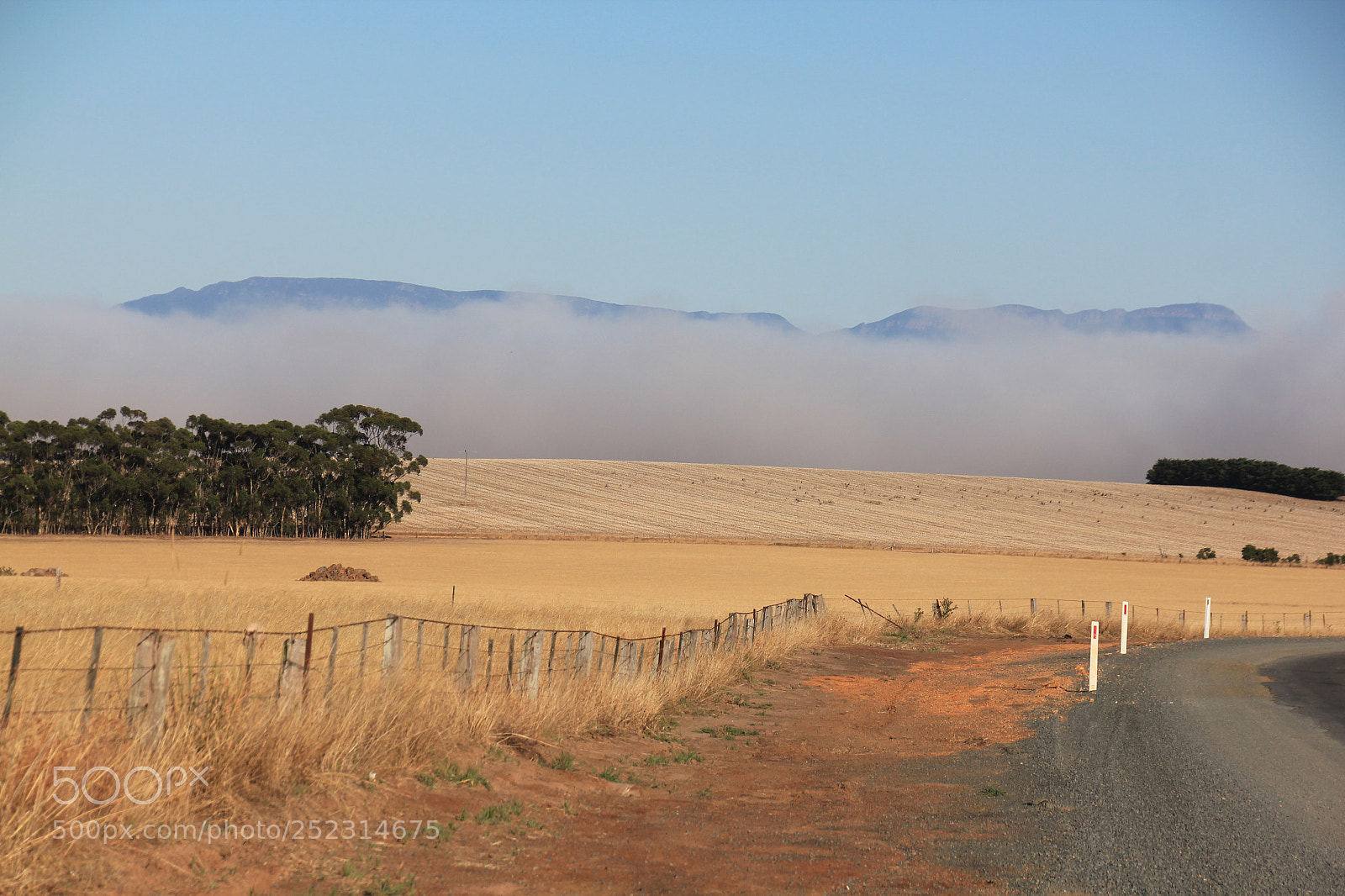 Canon EOS 550D (EOS Rebel T2i / EOS Kiss X4) sample photo. Fields and fog photography
