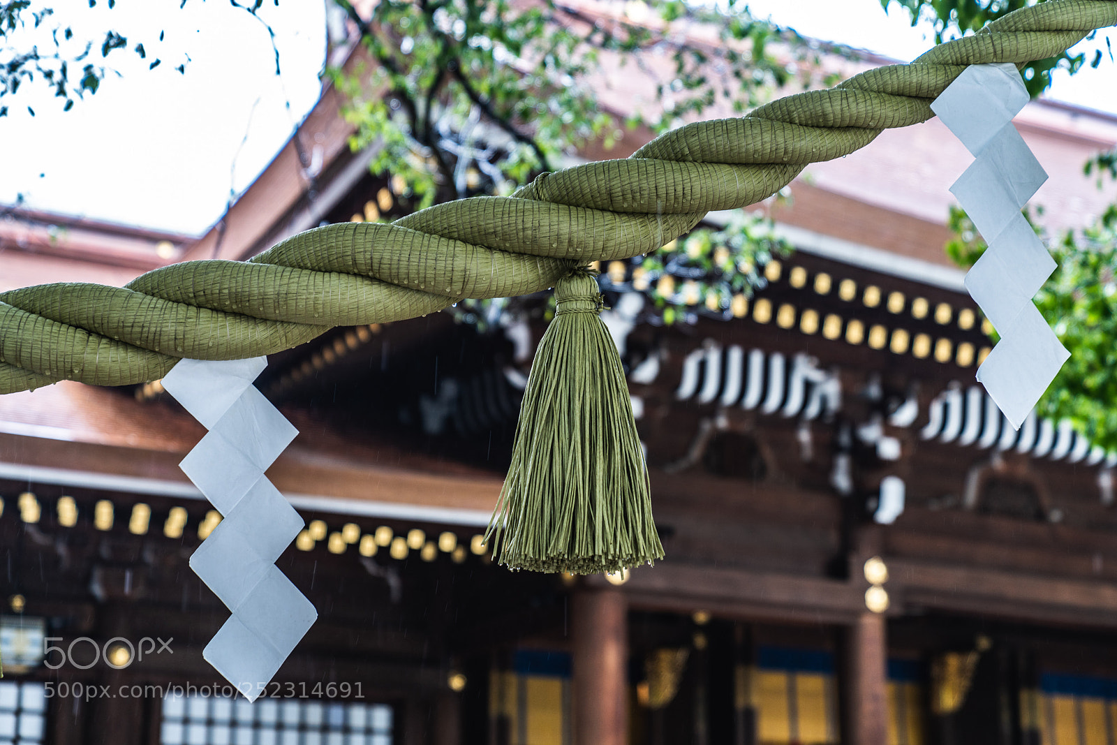 Sony a7R III sample photo. Meiji jingu photography