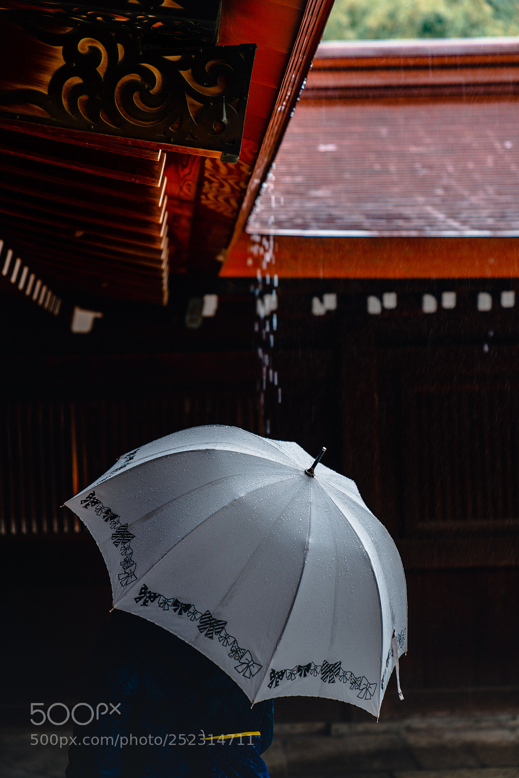 Sony a7R III sample photo. Temple visit in the photography