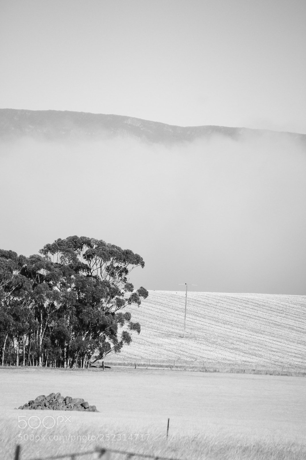 Canon EOS 550D (EOS Rebel T2i / EOS Kiss X4) sample photo. Fog on hills photography