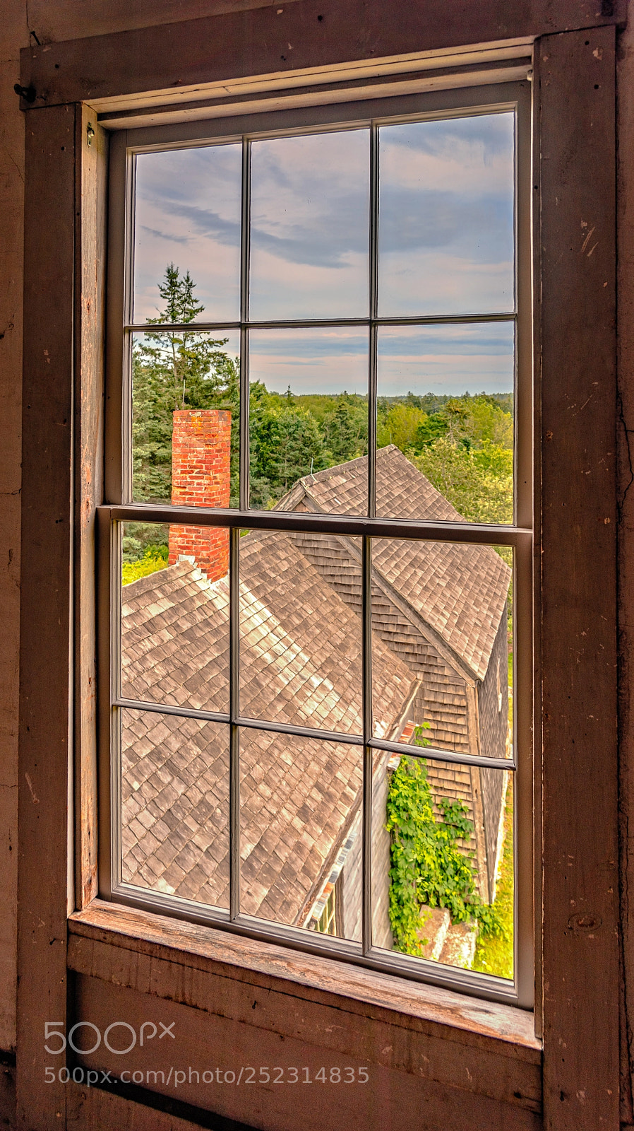 Nikon D810 sample photo. View from the window photography