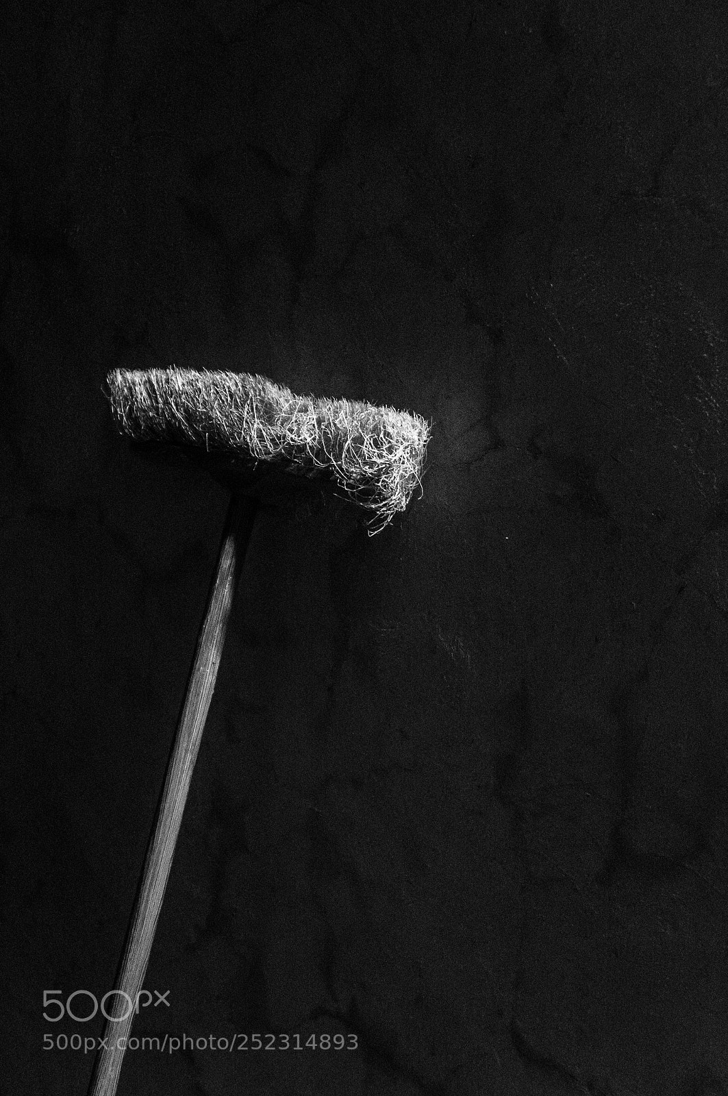Sony Alpha NEX-5R sample photo. A broom with years photography