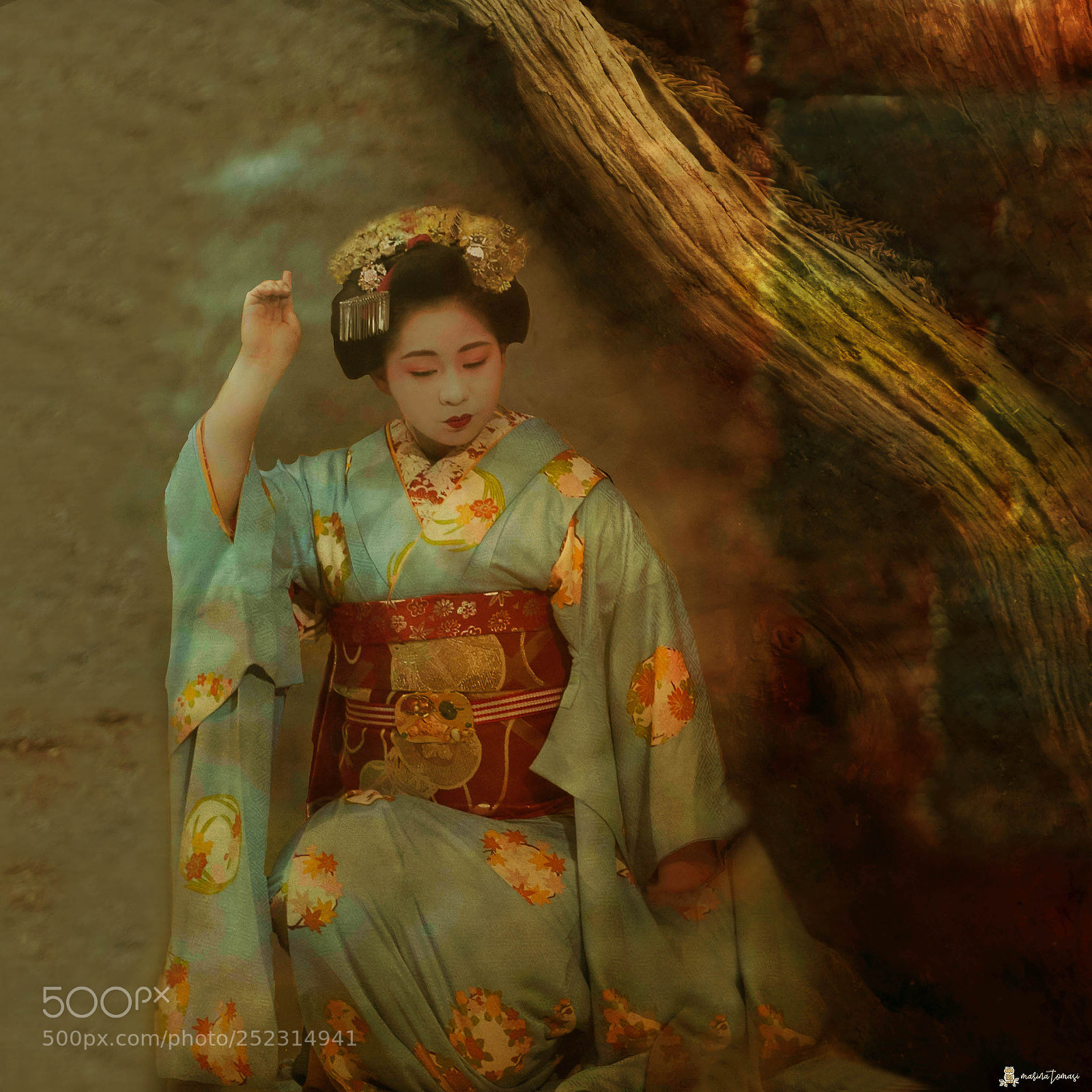Nikon D810 sample photo. Geisha photography