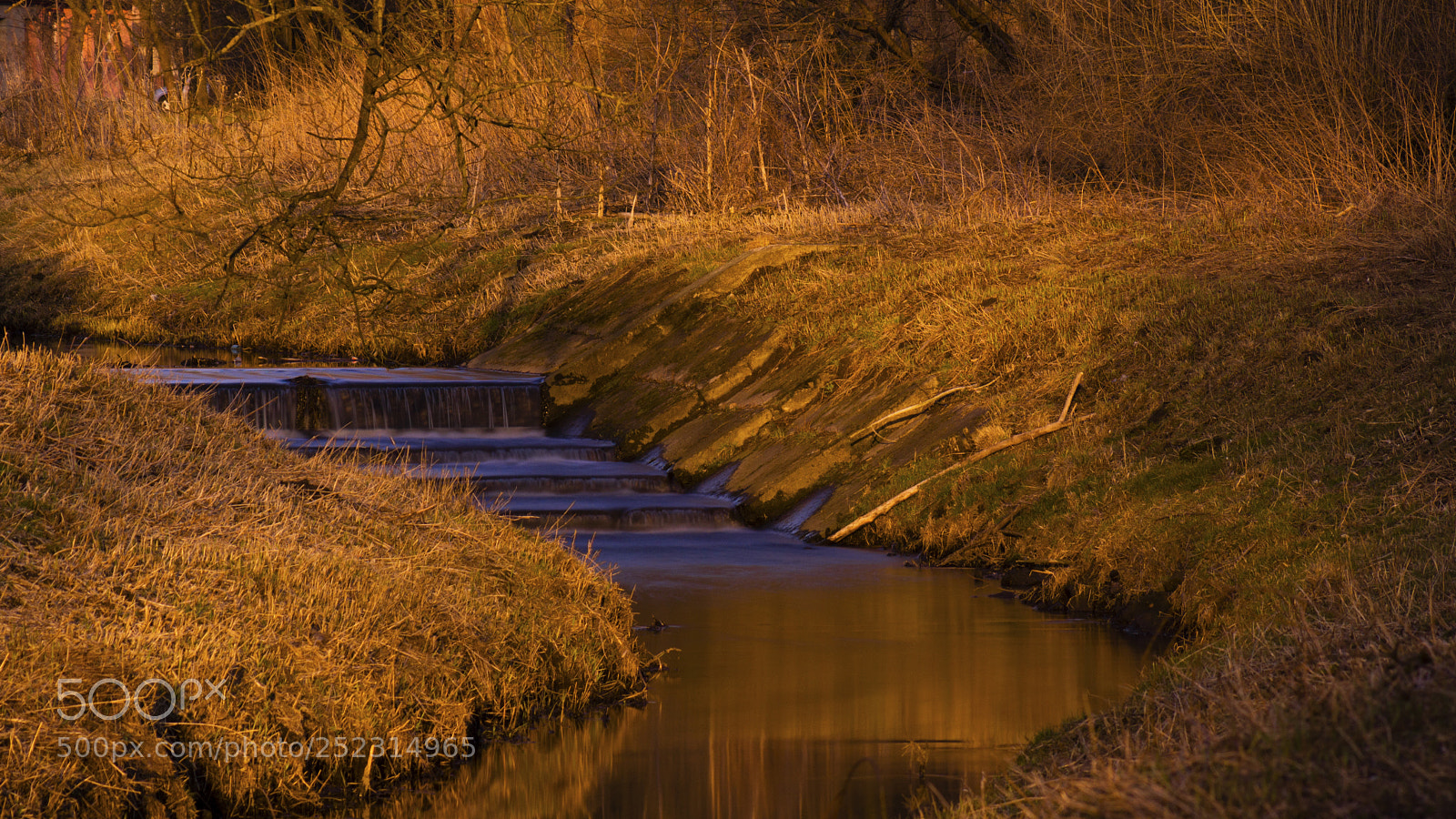 Sony SLT-A65 (SLT-A65V) sample photo. Untitled photography