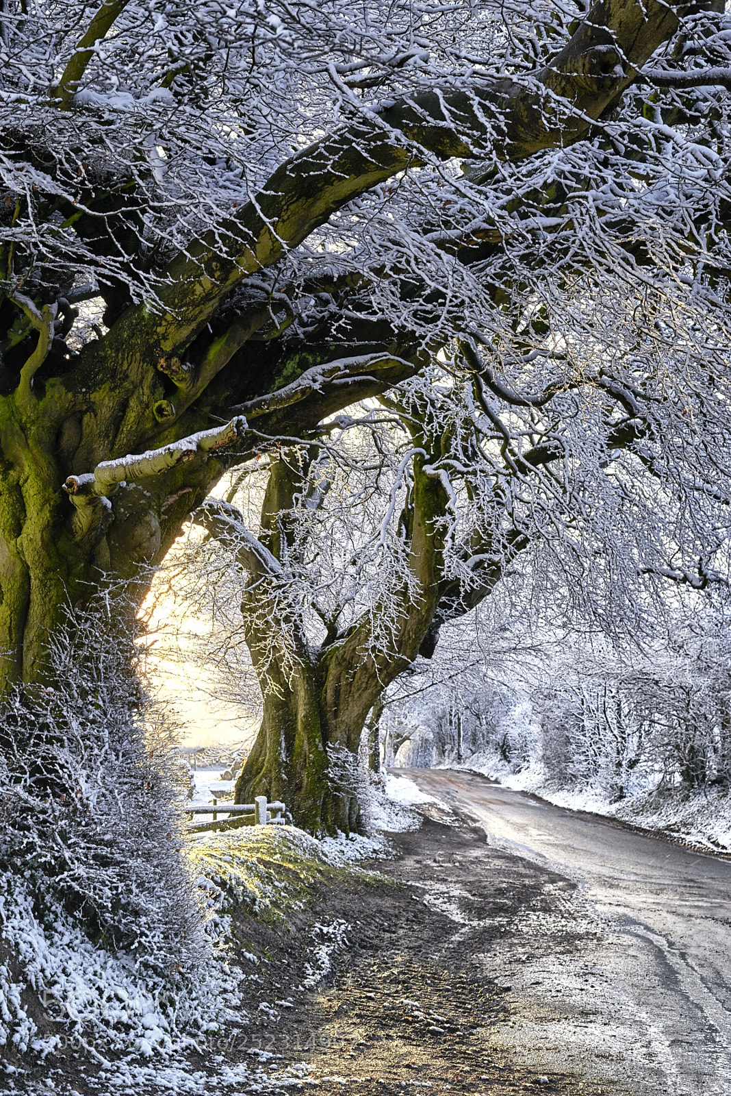 Nikon D800 sample photo. The road photography