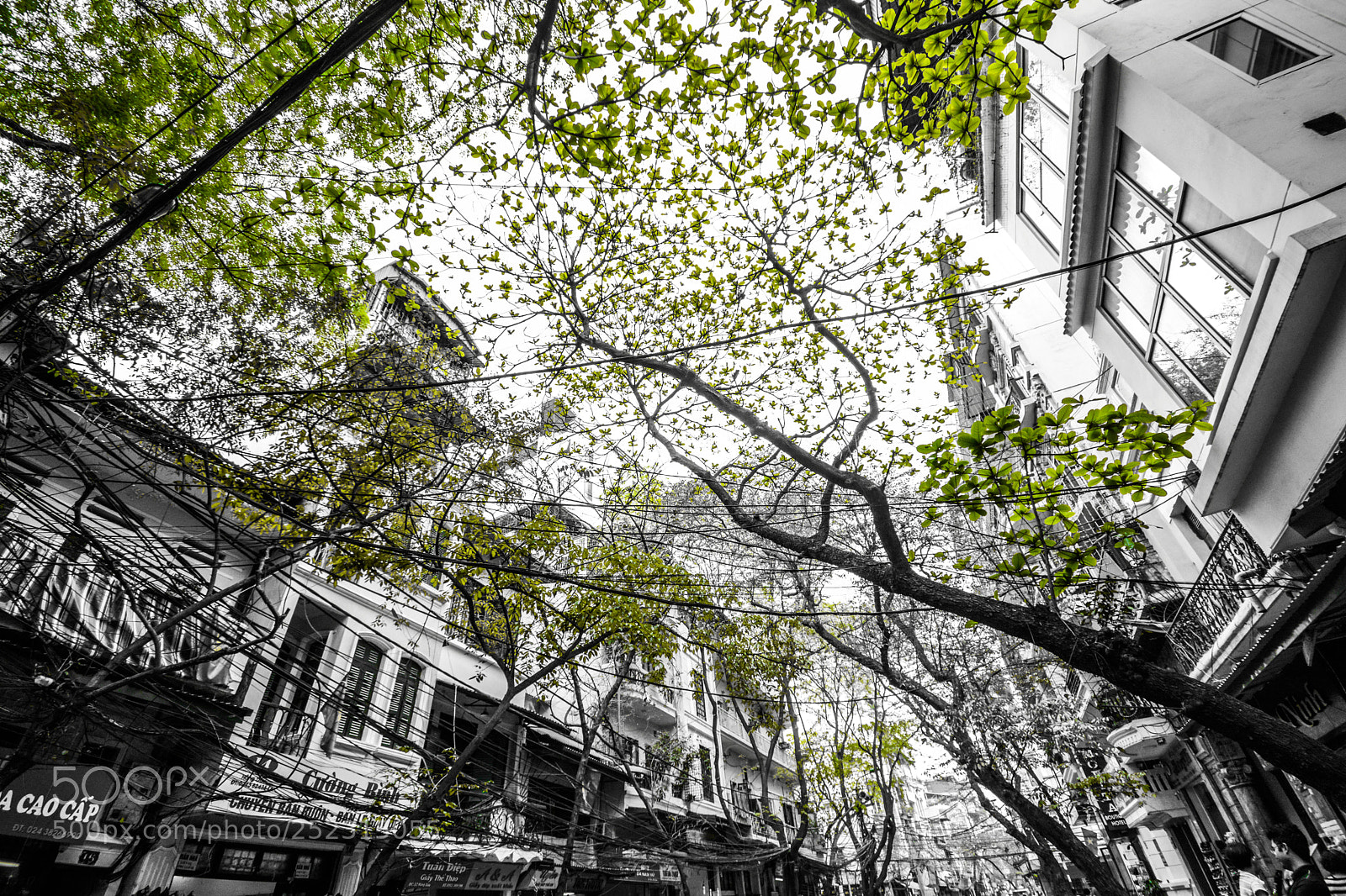 Nikon D7100 sample photo. Untitled photography