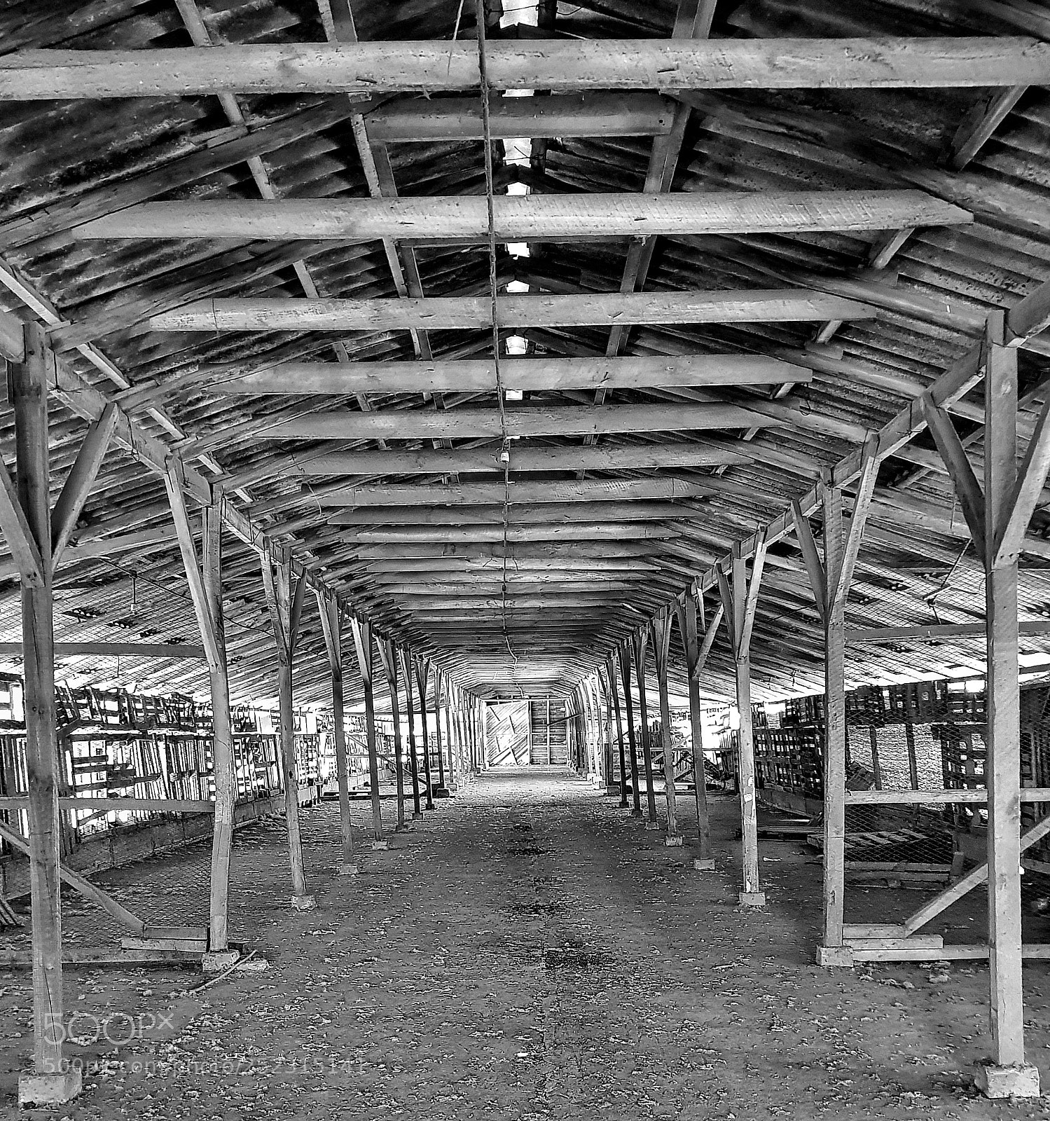Samsung Galaxy S8+ sample photo. B&w photography