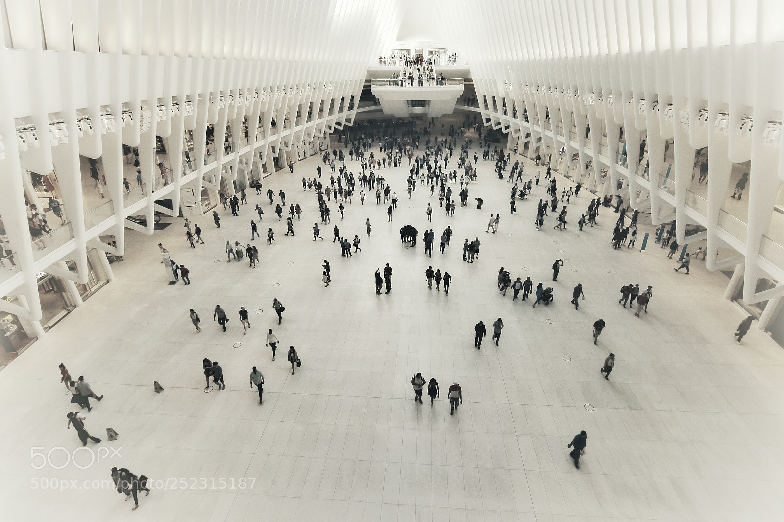 Canon EOS 70D sample photo. The oculus photography
