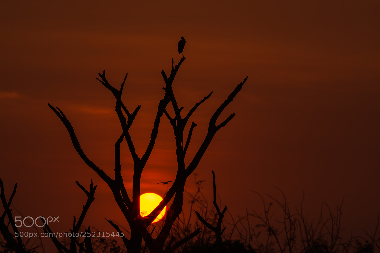 Nikon D610 sample photo. Evening scene and painted photography