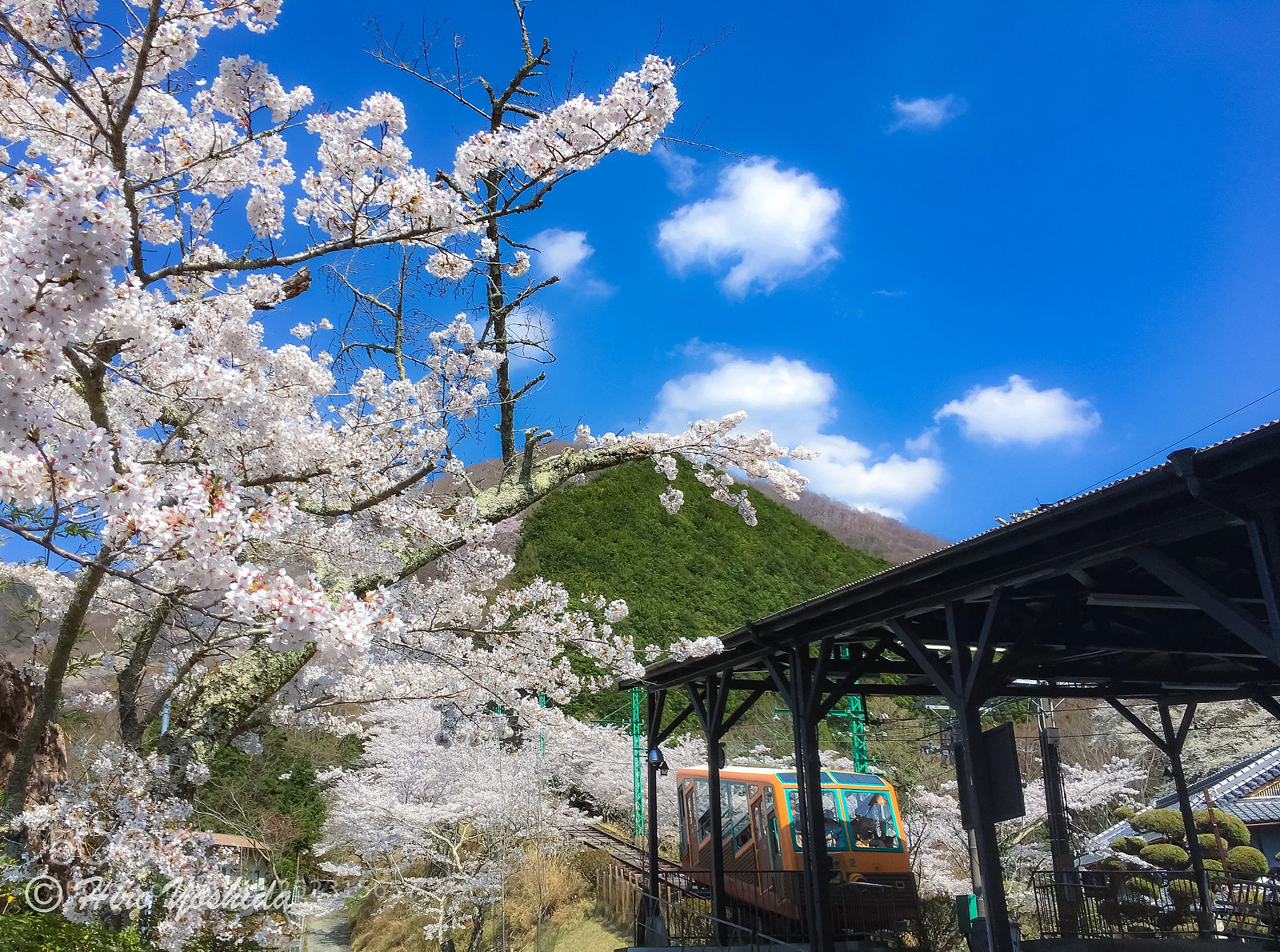 Apple iPhone 6s sample photo. Spring photography