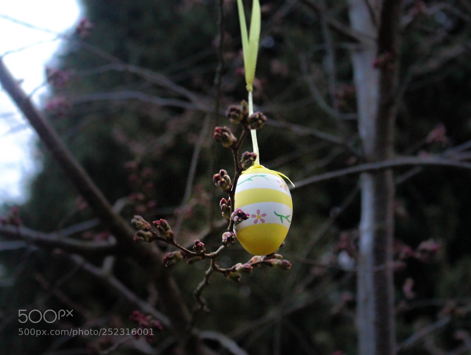 Canon EOS 700D (EOS Rebel T5i / EOS Kiss X7i) sample photo. Easter in england photography