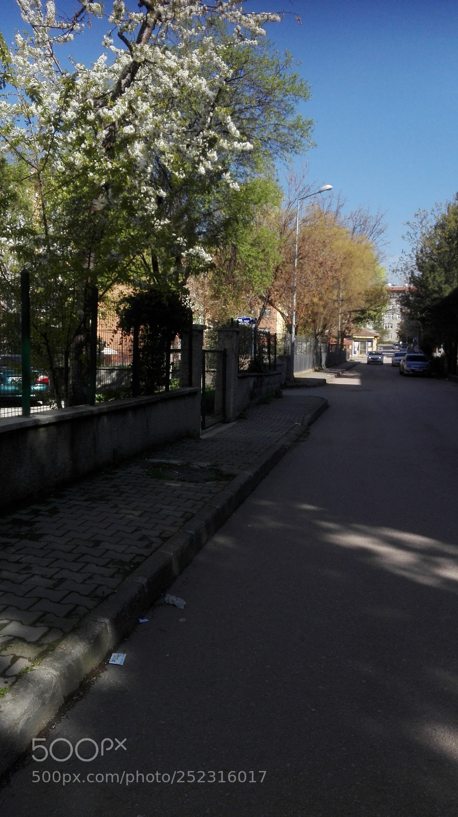 HUAWEI P8 Lite sample photo. Spring in my street photography